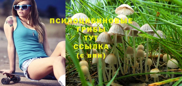 спайс Дмитриев