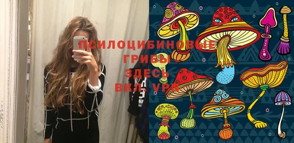 спайс Дмитриев