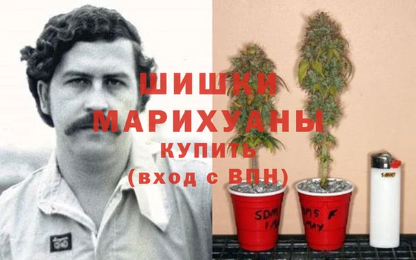 спиды Дмитровск