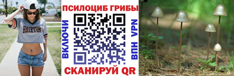 Галлюциногенные грибы ЛСД  дарнет шоп  Заринск 