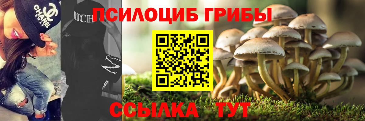 Галлюциногенные грибы Psilocybe  как найти закладки  Заринск  Вход с VPN 