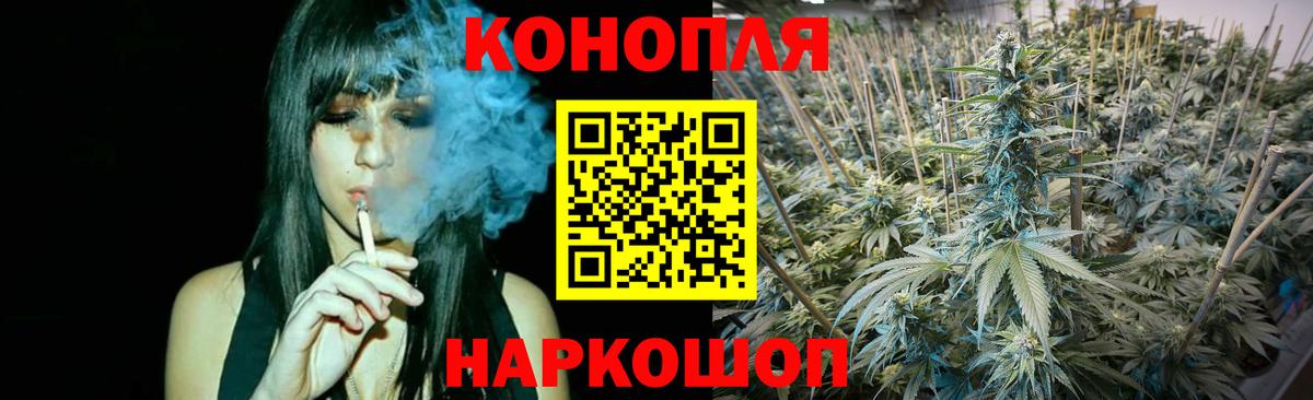 Конопля планчик Заринск